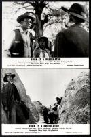 cca 1972 ,,Buck és a prédikátor - ketten a rabszolgatartók ellen" című amerikai westernfilm jel...