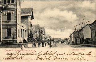 1906 Dicsőszentmárton, Tarnaveni, Diciosanmartin; Rákóczi utca. Dosztál Kálmán kiadása / street (EK)