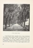 Lipták Gábor-Zákonyi Ferenc: Balatonfüred. 1956, Veszprém Megyei Tanács Idegenforgalmi Hivatala. Fek...