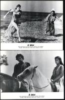 cca 1980 ,,A lator című olasz - francia film jelenetei és szereplői, 12 db produkciós filmfotó, nyomdatechnikával sokszorosítva, egyoldalas nyomással kartonlapra, a használatból eredő - esetleges - kisebb hibákkal, 18x24 cm