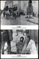 cca 1980 ,,A lator" című olasz - francia film jelenetei és szereplői, 12 db produkciós filmfotó...