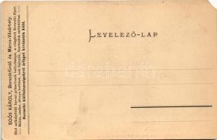 Borszék, Borsec; Villa csoport és Villa Aurora. Soós kiadása és reklámja a hátoldalon / villas. Publ...