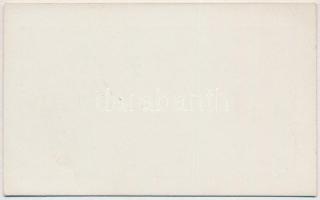 Budapest 1919. 2K "Pallas Nyomda" karton szükségpénz, sorszám, aláírás nélkül T:I Adamo BU...