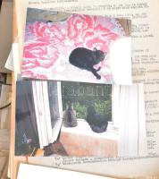 Nagyobb doboz vegyes papírrégiség, irat átnézendő