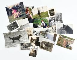 Állatokat ábrázoló felvételek, 21 db vegyes régi és modern fotó