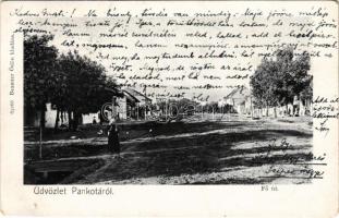 1903 Pankota, Pancota; Fő út. Beamter Ödön kiadása / main street (EM)