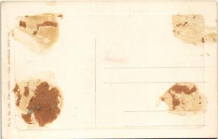 Boksánbánya, Németbogsán, Deutsch-Bogsan, Bocsa Montana; Vertopia vasgyári bányai tó. W.L. Bp. 120. ...