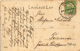 1910 Boksánbánya, Németbogsán, Deutsch-Bogsan, Bocsa Montana; Berzova vize. W.L. 1136. / Fluss / Bar...