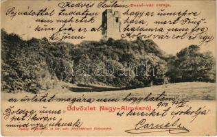 1902 Nagyalmás, Almasu Mare; Dezső vár romjai. Dunky fivérek fényképészek / castle ruins