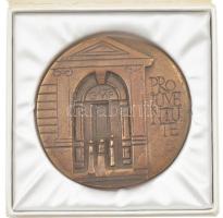 1994. Pro Iuventute (Az ifjúságért) öntött bronz emlékérem eredeti tokban, hátoldalán Dr. Gyetvai György JGYTF (Juhász Gyula Tanárképző Főiskola) 1994 gravírozással, eredeti díszdobozban (~90mm) T:1-