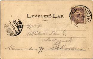 1901 Tövis, Teius; Oroszlán szálloda, Gyulafehérvári főút a gyógypataki fahíddal, indóház, vasútállo...