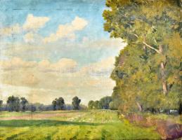 Sárdy Brutus (1892-1970): Napfényes táj. Olaj, vászon, faroston. Jelzés nélkül. 37x48 cm.