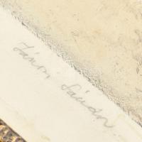 Jánosi Sándor (1927-1982): Kiáradt Bodrog házakkal, színezett rézkarc, papír, jelzett. Dekoratív, üv...