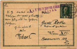 1916 Feldpostkarte / Kézzel rajzolt osztrák-magyar Tábori Postai Levelezőlap / WWI Austro-Hungarian ...