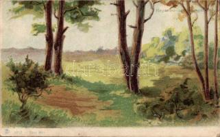 Forest hold to light litho