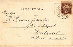 1901 Gödöllő, Erzsébet királyné szobor (Sissi). Róna József szoborműve. Róna Antal kiadása / Königin...