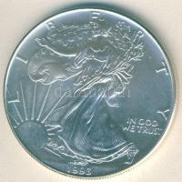 USA 1993. 1$/1oz Ag "Liberty" T:1