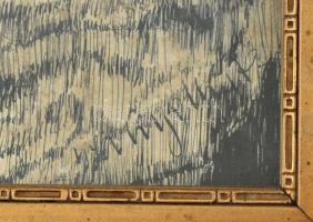 Szongott Jakab (1876 - ): Tündérlány. Tus, papír, kis sérüléssel. Üvegezett szecessziós fakeretben. ...