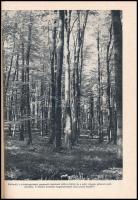 Mikusné Dr. Nánai Magda: Barátunk az erdő. Környezetnevelési műhelytitkok. Bp., 1983., Mezőgazdasági...