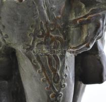 Radnai Béla (1873-1923): Gróf Leiningen-Westerburg Károly az 1848-49es forradalom és szabadságharc h...