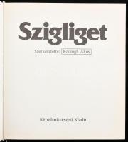 Szigliget. Szerk.: Koczogh Ákos. Bp., 1988, Képzőművészeti Kiadó. 141 p + XXXII t. Kiadói kartonált ...