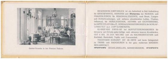 Lázne Jelec, Bad Geltschberg bei Auscha (Ústek); Pension Daheim - non-postcard booklet with 24 pages