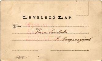 1899 (Vorläufer) Devecser, Királyi járásbírósági épület, Gróf Esterházy kastély (EK)