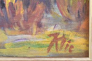 Klie jelzéssel: Színes táj. Olaj, karton, dekoratív fakeretben, 24×30 cm