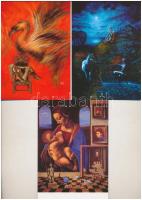 5 db MODERN erotikus sakk művész képeslap Badacsonyi Sándortól / 5 modern erotic chess postcards