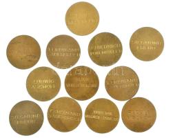 DN "Híres orvosok arcképei" kétoldalas bronz emlékérem, 8 különböző (12x) (30mm) T:1-
ND....