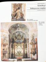 Magyarföld és népei eredeti képekben. Föld- és népismei, statistikai és történeti folyóirat. Fényes ...