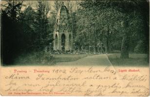 1902 Pozsony, Pressburg, Bratislava; Ligeti díszkert. Hans Nachbargauer kiadása / park (fa)