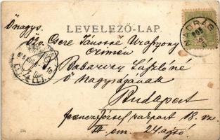 1905 Nadrág, Nadrag, Steinacker; Zadrazil forrás / mineral water spring. photo (lyukak / tiny pinhol...