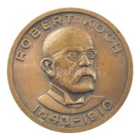 Robert Koch 1843-1910 / Tubercle bacilus elszigetelése kétoldalas bronz emlékérem (30mm) T:1- Robert Koch 1843-1910 / Tubercle bacillus isolated two-sided bronze commemorative medallion (30mm) C:AU
