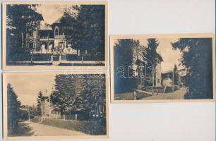 Ferencfalva, Franzdorf, Valiug (Resicabánya, Resita); vadászlak / hunting lodge - 3 db régi képeslap / 3 pre-1945 postcards