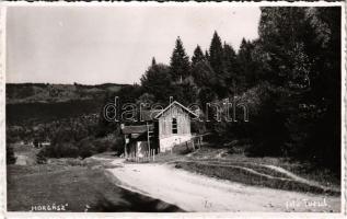 Kovászna, Covasna; Horgász villa, nyaraló / Horgas / villa. Hadnagy Bazár photo