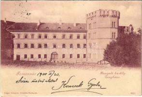 1900 Temesvár, Timisoara; Hunyadi kastély / Zeughaus / castle