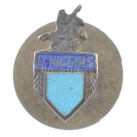 Chile ~1960. OHiggins a chilei Racangua város OHiggins FC nevű csapatának zománcozott bronz gomblyukjelvénye T:1-,2 Chile ~1960. OHiggins enameled bronze buttonhole badge of OHiggins FC of Racangua, Chile C:AU,XF