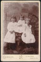 cca 1900 Három kislány műtermi portréja, keményhátú fotó Gibson (Kansas City) műterméből, 16,5×10,5 cm