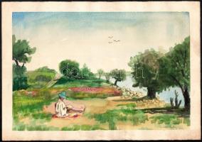 Olvashatatlan jelzéssel: Pásztoros, mezős grafika. Akvarell, papír, Jelzett, 21x30 cm