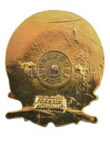 Jugoszláv Szövetségi Köztársaság ~2000. "Határőrizeti Egység Jelvény" műgyantás bronz jelv...