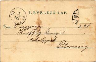 1901 Arad, Maros-part az Igazságügyi palotával. Rüger G. és Társa kiadása / Mures riverside, Palace ...