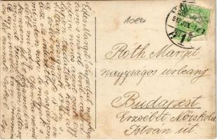 1913 Kolozsvár, Cluj; családi csoportkép a kertben / family in the garden. photo