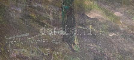 Kézdi-Kovács László (1864-1942): Kilátás a Zugligetből. Olaj, vászon, jelezve balra lent, hátoldalán...