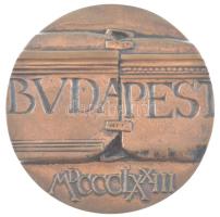 Asszonyi Tamás (1942-) 1973. Budapest MDCCCLXXIII / 1873-1973 Pest-Buda egyesítésének emlékére kétoldalas öntött bronz emlékérem eredeti tokban (86mm) T:1