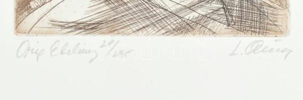 Almásy László (1926-): Don Quijote. Rézkarc, papír, jelzett, számozott (28/295), hátoldalán autográf...