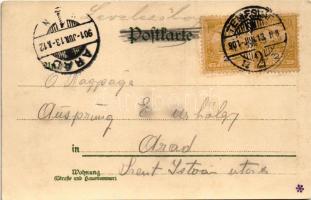 1901 Jádremete, Remecz (Remete), Remeti; látkép / general view (r)