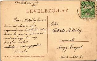 1910 Erzsébetváros, Dumbraveni; Állami főgimnázium, cukrászda. Dr. S. Sz. felvétele / grammar school...