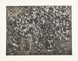 Imre István (1918-1983): Fagyöngy. Rézkarc, papír, jelzett. Lap széle kissé foltos. 29x39 cm
