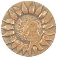 DN. Hűségért, munkáért - 30 év kétoldalas öntött bronz emlékérem (111mm) T:1- patina